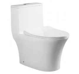 Baron W888 1 piece toilet bowl with Geberit Flushing/ Soft Closing
