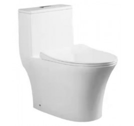 Baron W888 One Piece Toilet Bowl (Include Installation)