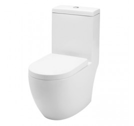 Baron W888 1 piece toilet bowl with Geberit Flushing/ Soft Closing