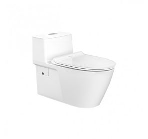 American Standard Acacia SupaSleek One-Piece CL20075-6DASGCBT